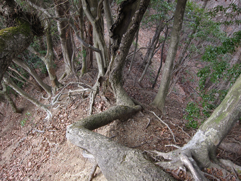 20200204hike (211)